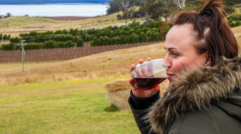 Devil’s Corner Cellar Door: Stunning Views and Delicious Wine