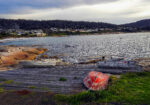 The sleepy seaside town of Bicheno, Tasmania